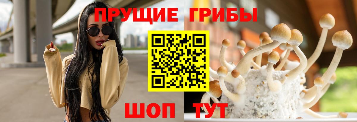 Раменское  Галлюциногенные грибы ЛСД  Вход с VPN 